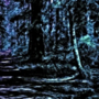 Into the Wildlands