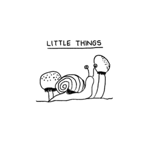 Little Things