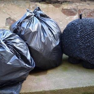 ...found something edible....