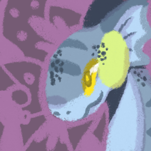 The origin of the dragon guard