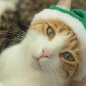 Where are my parents?