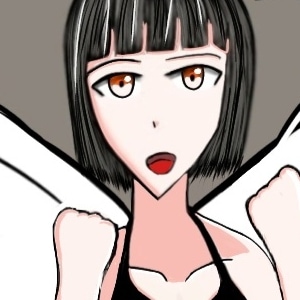 The First Flight attempt