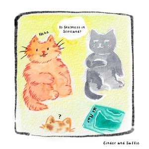 What did you say about my sis?!