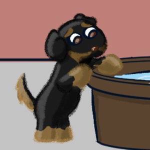 Doggies, it&#39;s shower time! Perrito