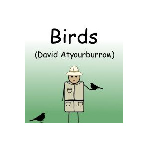 Birds - with David Atyourburrow
