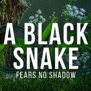 A Black Snake Fears No Shadow