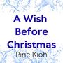 A Wish Before Christmas 