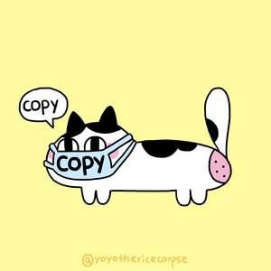 me vs copycat