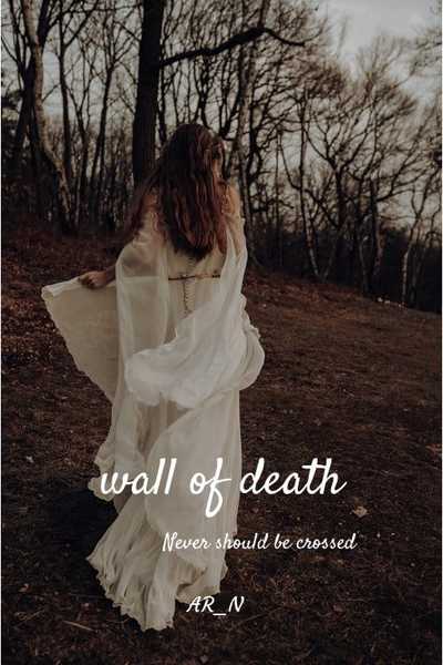 Wall of death 