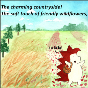 Country Roads
