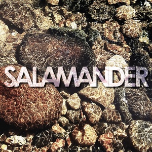 Salamander
