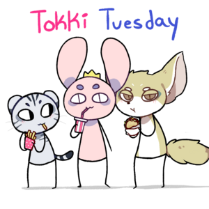 Tokki Tuesday