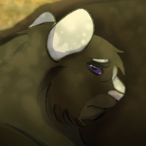 Dream For Me | Dream | 3