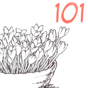Extras 101-4: Floras
