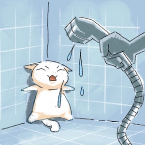 When Cat Bathe