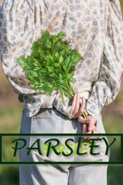 Parsley