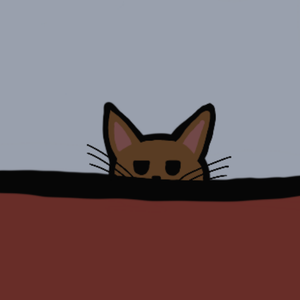 The cat in the window