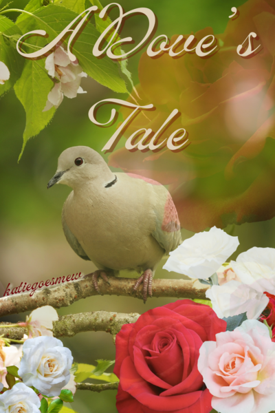 A Dove's Tale