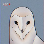 Projeto Night Owl - radioativo 