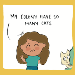 Cats of my colony