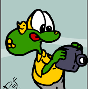 Minja the toad and the camera