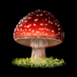 Amanita Muscaria