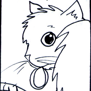 My Cat's Favorite Things