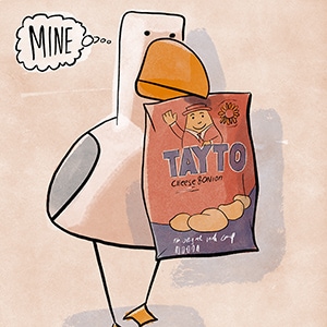 Mine - Daylight Robbery