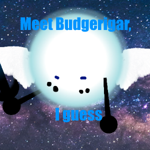 Meet Budgerigar, I guess.