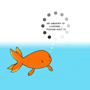 Goldfish memory