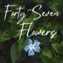 Forty-Seven Flowers