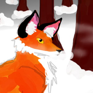 Summer/Winter's foxes