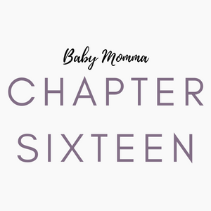 Chapter 16: Meet Up