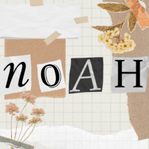 Chapter 13 | Noah