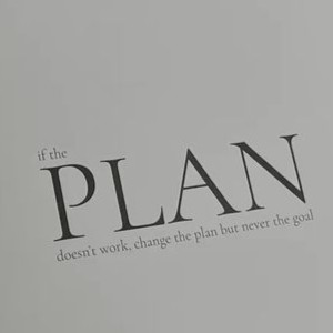 Chapter 2: Plan in action.
