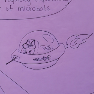 Salt&iacute;n vs Wizard Kitten