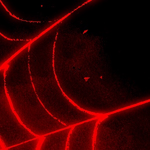 MAMA'S TOXIN