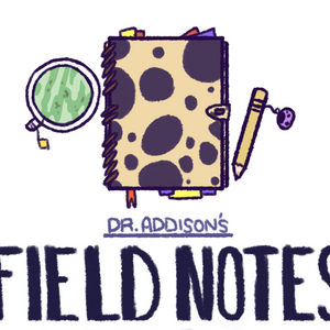 Field Notes: Tropical Toads