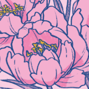 Peon&iacute;a / Peony