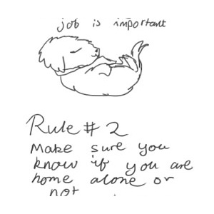 Rules of a Mutt