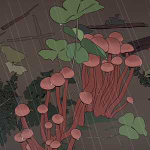Chapter 1- Autumn 01-04