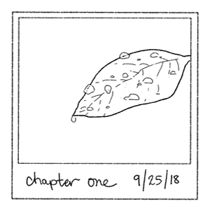 CHAPTER 1 COVER (10)