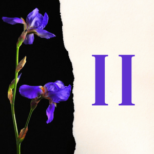 II: You were the most beautiful woman I've ever met, but you aren't.