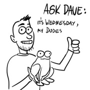 Ask Dave /It's Wednesday My dudes!/