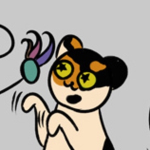 Feline Determination