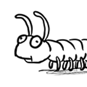Get to Know Your Myriapods