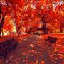 Bi No Aki (Autumn of beauty)