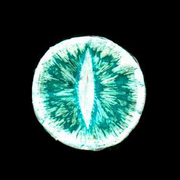 The Dark Tales of the New Era - REBELS