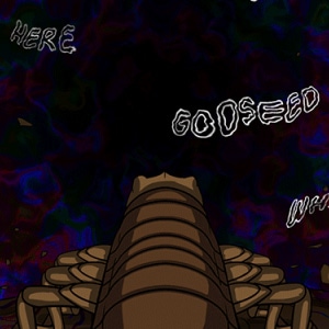 02-19