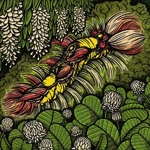 Volume One: Cover Art